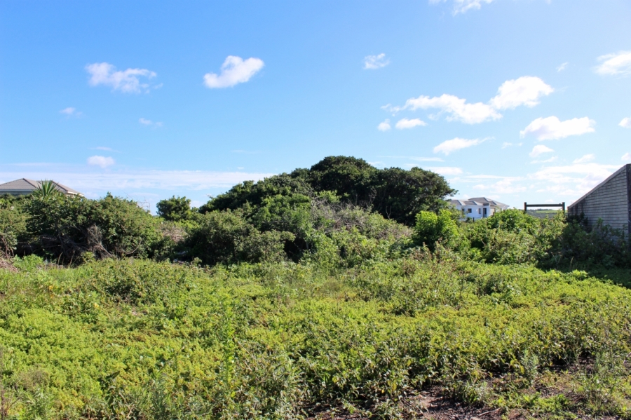 0 Bedroom Property for Sale in Forest Downs Eastern Cape